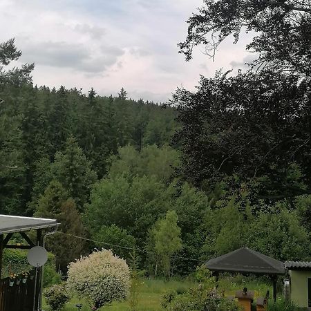 Ferienwohnung Waldblick mit Balkon Sebnitz Exterior foto