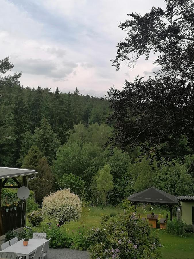 Ferienwohnung Waldblick mit Balkon Sebnitz Exterior foto